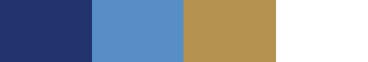 sluggers batting cages color pallet style guide