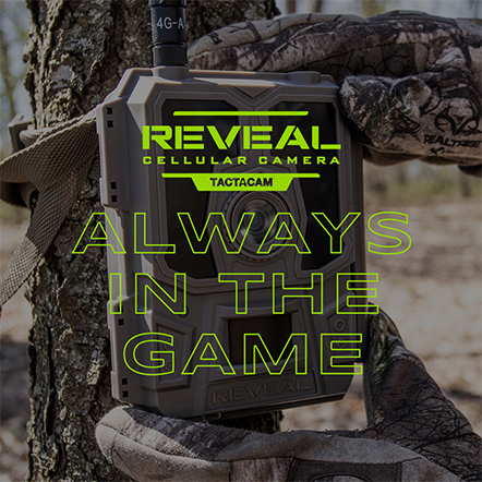 Reveal Always in the Game Graphic