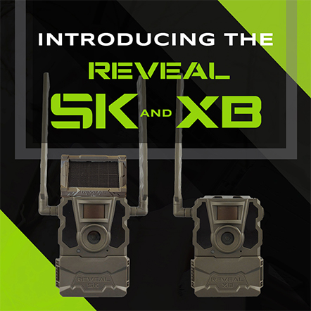 Reveal SK and XB Graphic