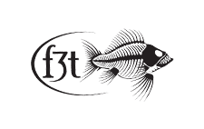 about gradient9 clients, fly fishing film tour