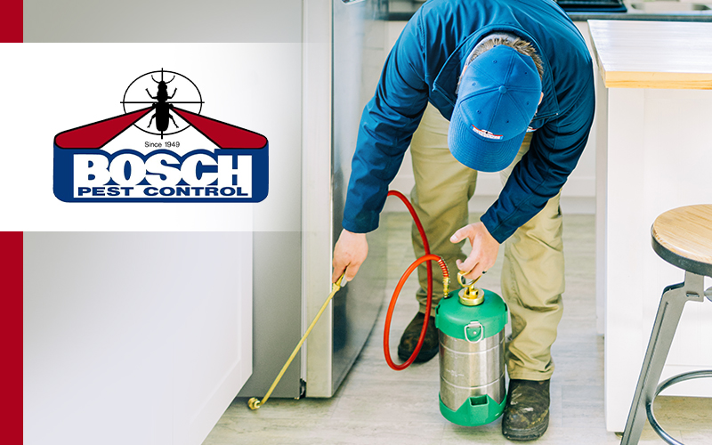 Bosch Pest Control Featured Image