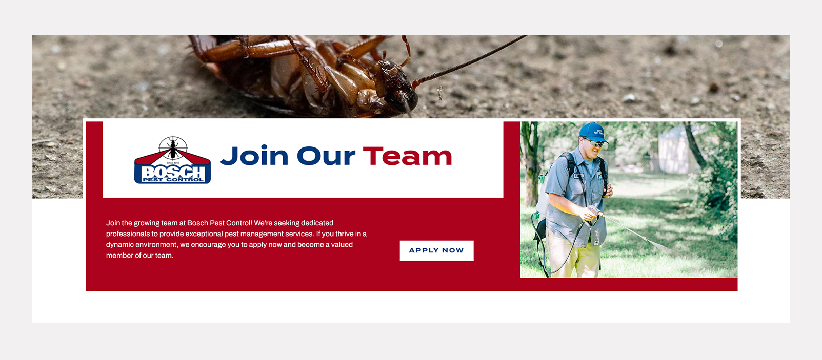 Join-our-team Bosch Pest Control Join Our Team